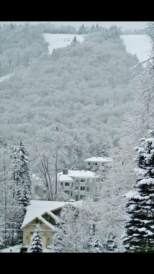 Ski-In, Ski-Out Chaleureux Studio Loft Au Pied Des Pistes De Ski Apartment Stoneham Exterior photo